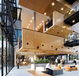 HASSELL QLD - Architect Gold Coast