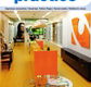 Damien McQuillan Architect Pty Ltd - Architect Gold Coast