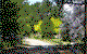 Suzanne Knight Landscape Design - thumb 0