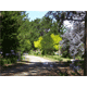 Suzanne Knight Landscape Design - Architect Gold Coast