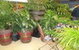 Landscape Architect & Landscape Designers - thumb 0