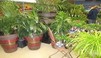 Landscape Architect & Landscape Designers - Architect Gold Coast 0