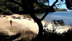 Deadly mystery unfolds as canoeists are found unresponsive after midnight trip Architect Gold Coast