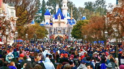 Disneyland guests left scrambling after water outage shuts bathrooms and restaurants Architect Gold Coast