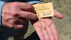 Grandfather finds hidden treasure in plain sight as park officials 'dumbfounded' by discovery Architect Gold Coast