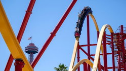 Popular amusement park bans guest for life after roller coaster stunt viral video Architect Gold Coast